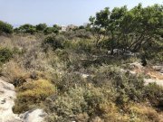 Gerani bei Rethymno Kreta, Gerani: Erstklassiges Grundstück mit Meerblick nahe Rethymno zu verkaufen Grundstück kaufen